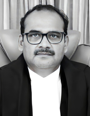 Hon'ble Mr. Justice J.K. Maheshwari